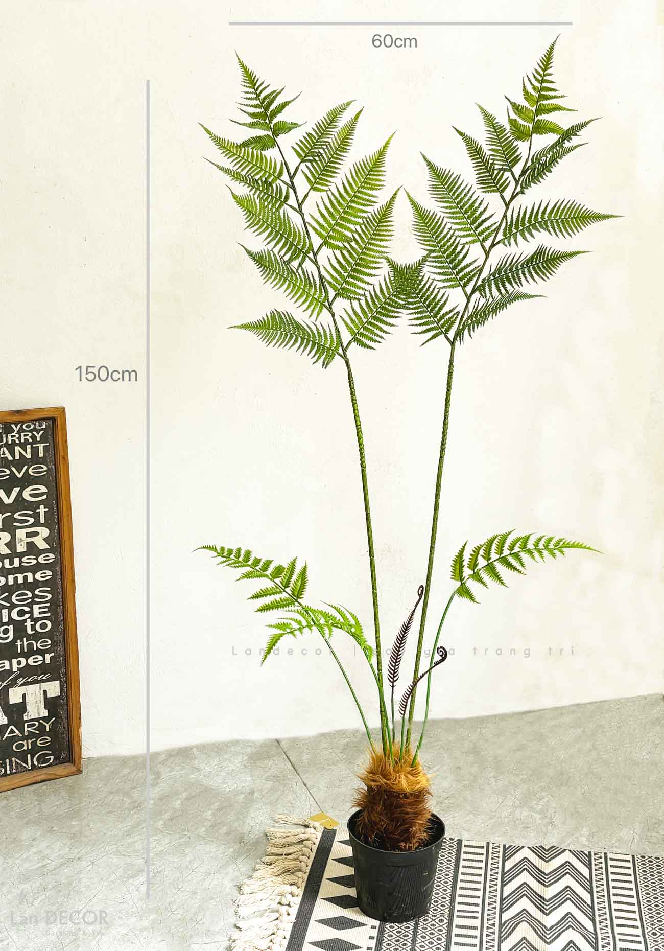 Dương Xỉ Giả- Dương Xỉ Culi Tiểu Cảnh Cây Giả Tự Nhiên (150cm)- CC1065