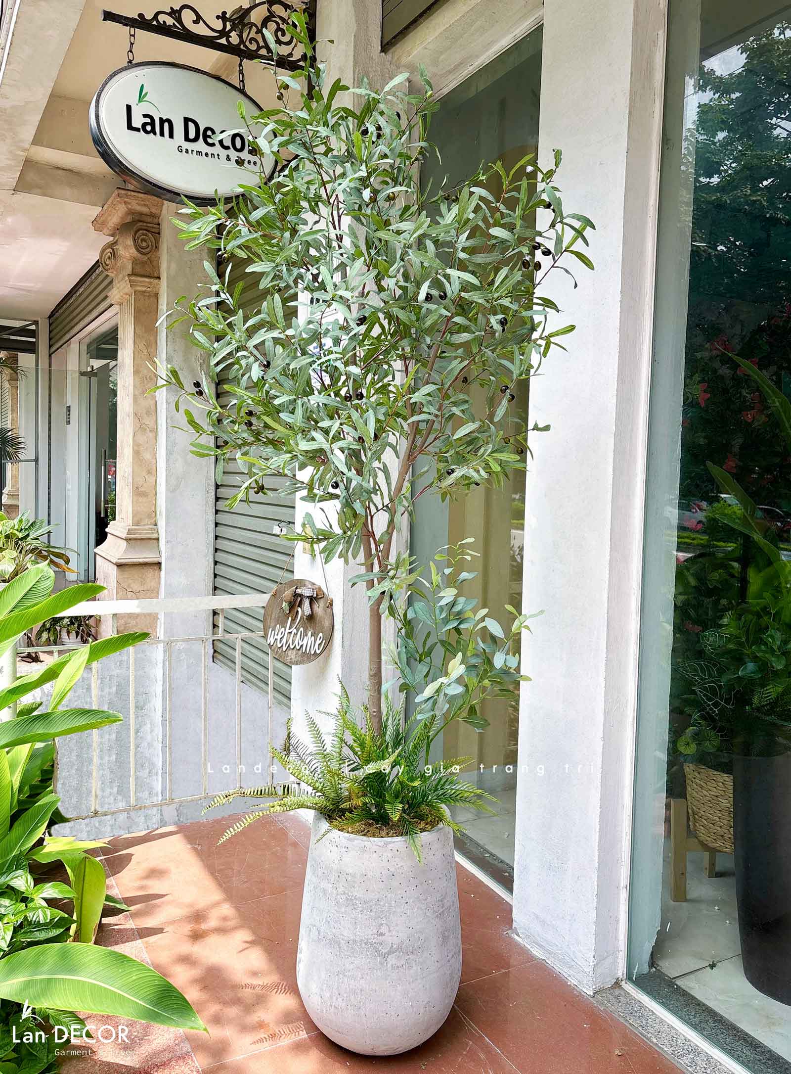 Cây Giả Thiết Kế - Cây Oliu Lá Bạc Giả Trang Trí Tiểu Cảnh - CC1434