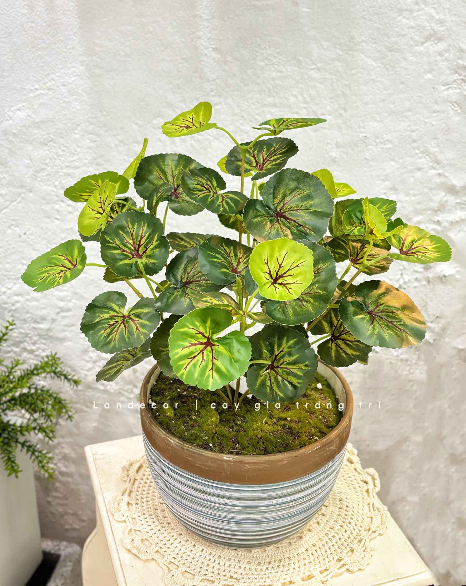 Cây Giả Để Bàn - Chậu Cây Sen Cạn Giả Trang Trí Để Bàn (45cm) - CC1470