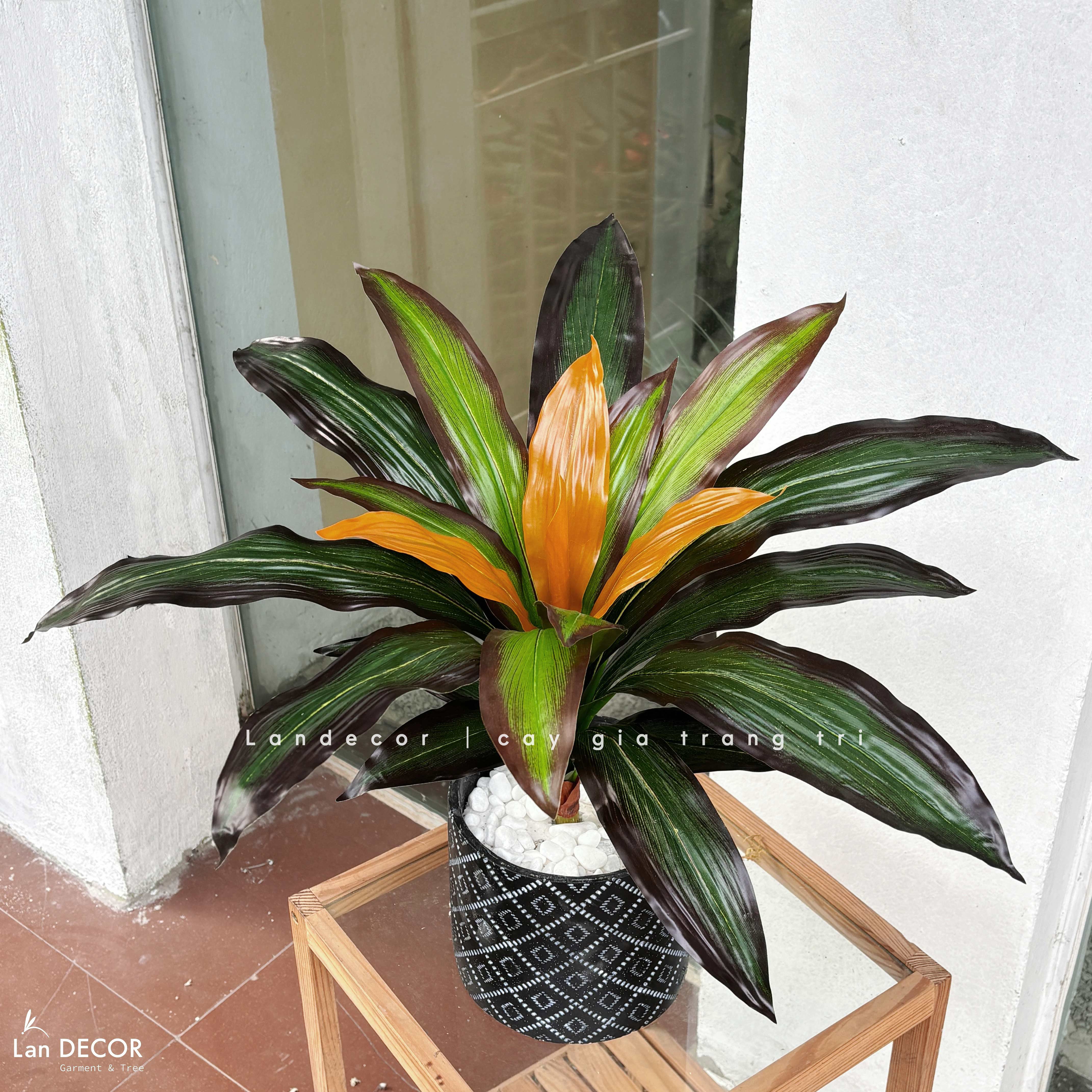 Cây Giả Trang Trí- Cây Tài Lộc Giả Để Bàn Decor Không Gian Nổi Bật (45cm)- LC3427