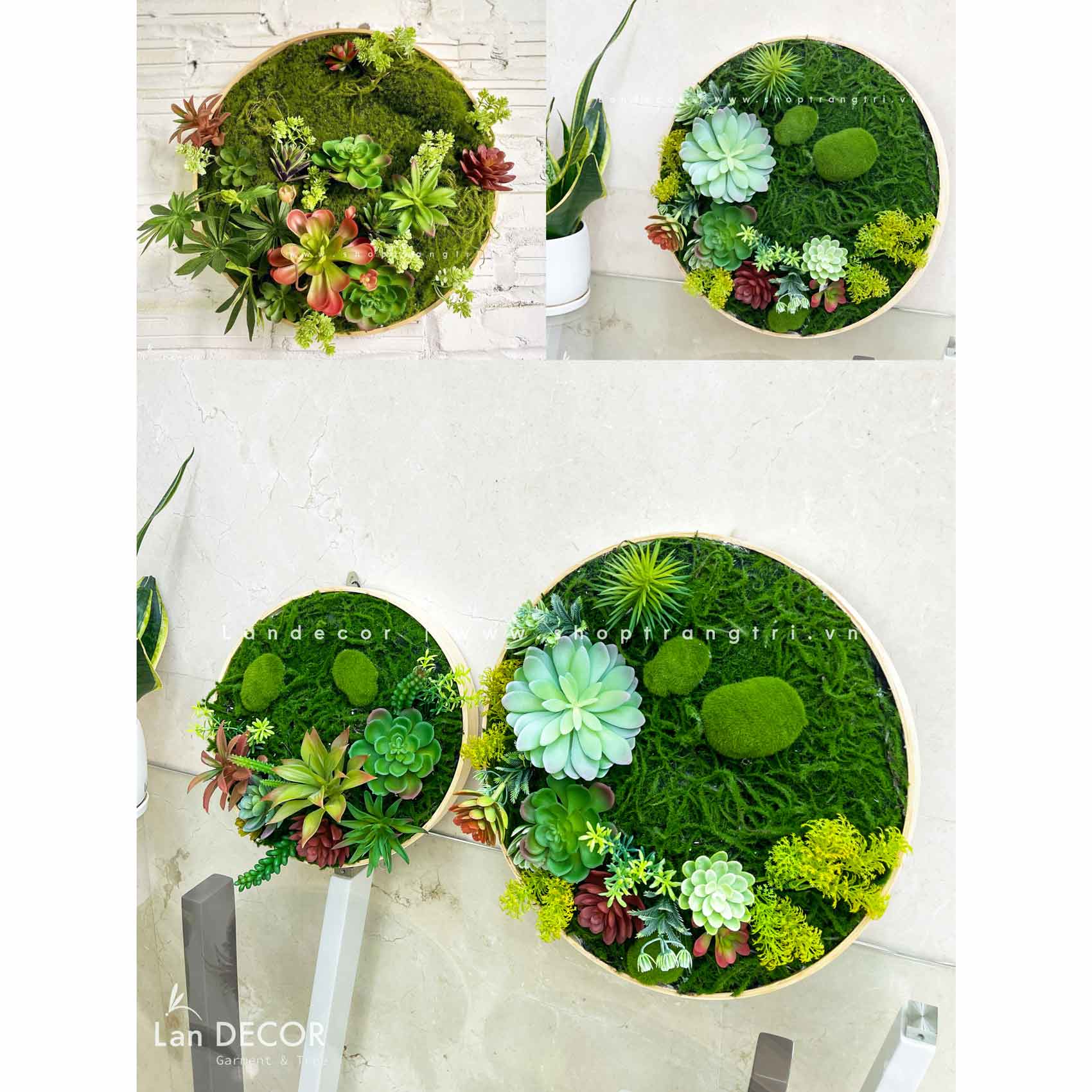 KHUNG TRANH RÊU SEN ĐÁ TRANG TRÍ HIỆN ĐẠI- KTR004.(D=40)