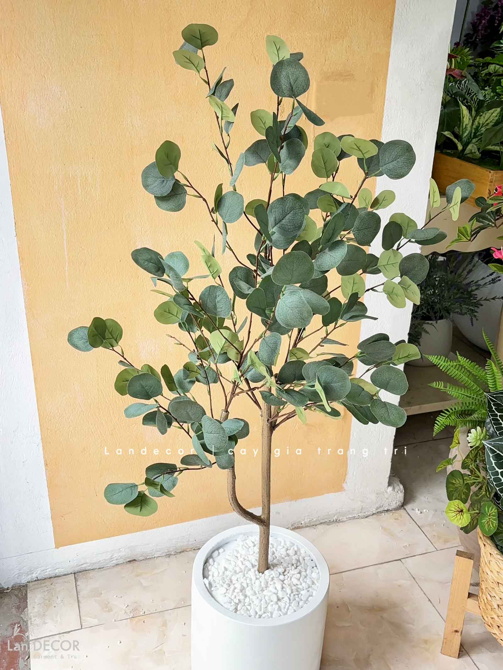Cây Giả Decor - Cây Bạch Đàn Giả Trang Trí Không Gian - CC1449
