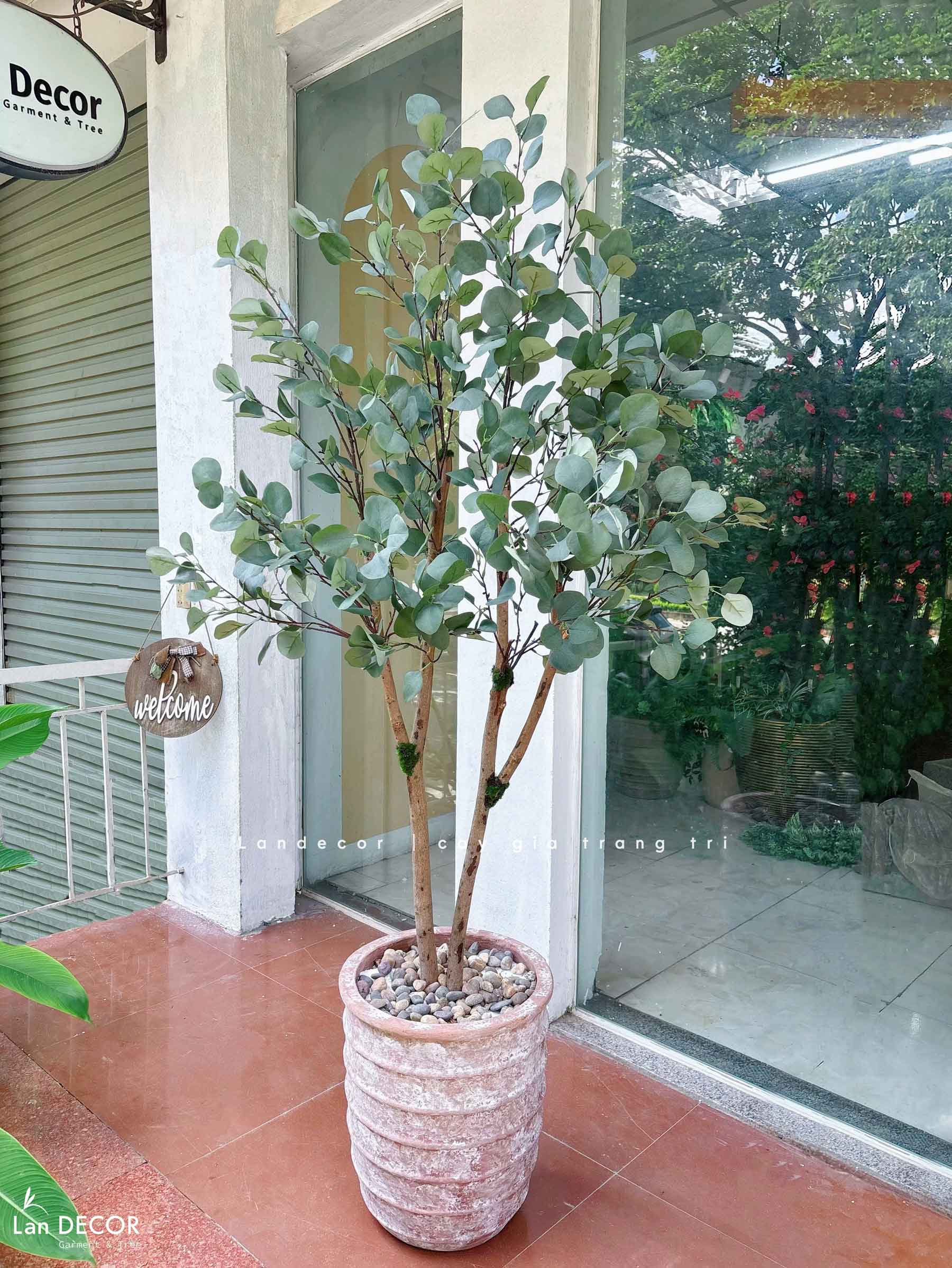 Cây Cảnh Giả- Chậu Cây Bạch Đàn Giả Thiết Kế Đẹp Tự Nhiên - CC1444