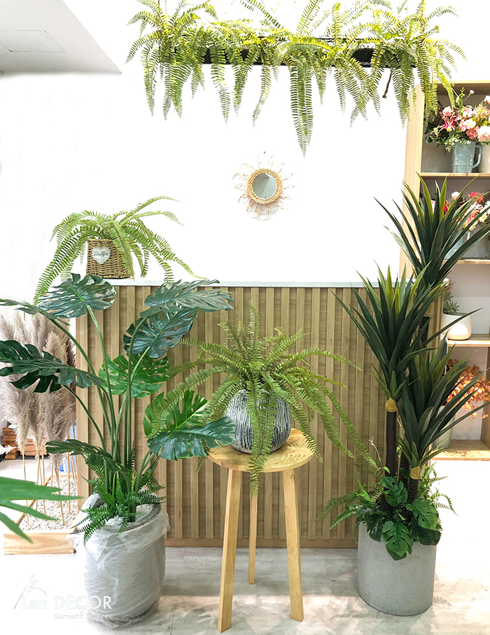 Chậu dương xỉ cổ đại trang trí Landecor - CC372