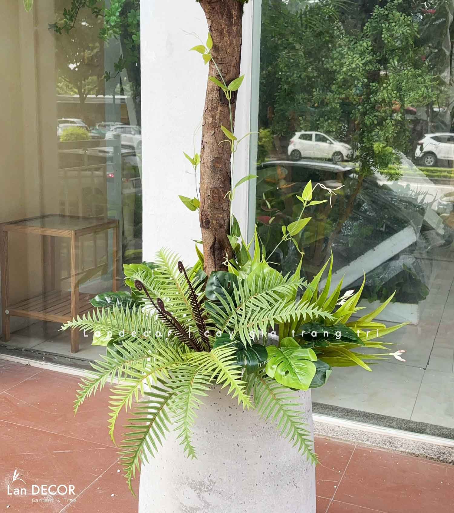 Cây Oliu Giả Trang Trí- Cây Olive Giả Lá Bạc Trang Trí Tiểu Cảnh Văn Phòng- CC1422