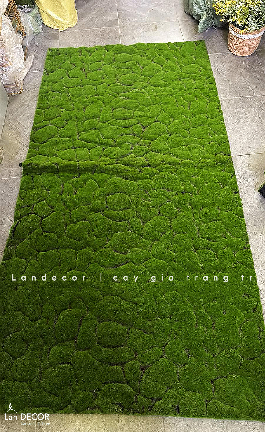 Thảm Rêu Giả Thiết Kế Tường Rêu, Trang Trí Không Gian Độc Đáo (100x100cm)- TR005