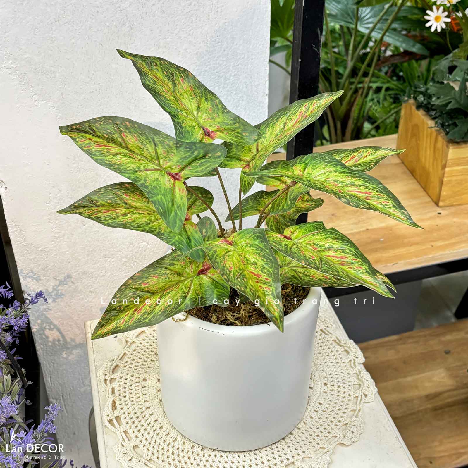 Cây Giả Decor- Chậu Cây Bán Hạ Giả Trang Trí Kệ Tủ Độc Đáo (40cm)-CC1476