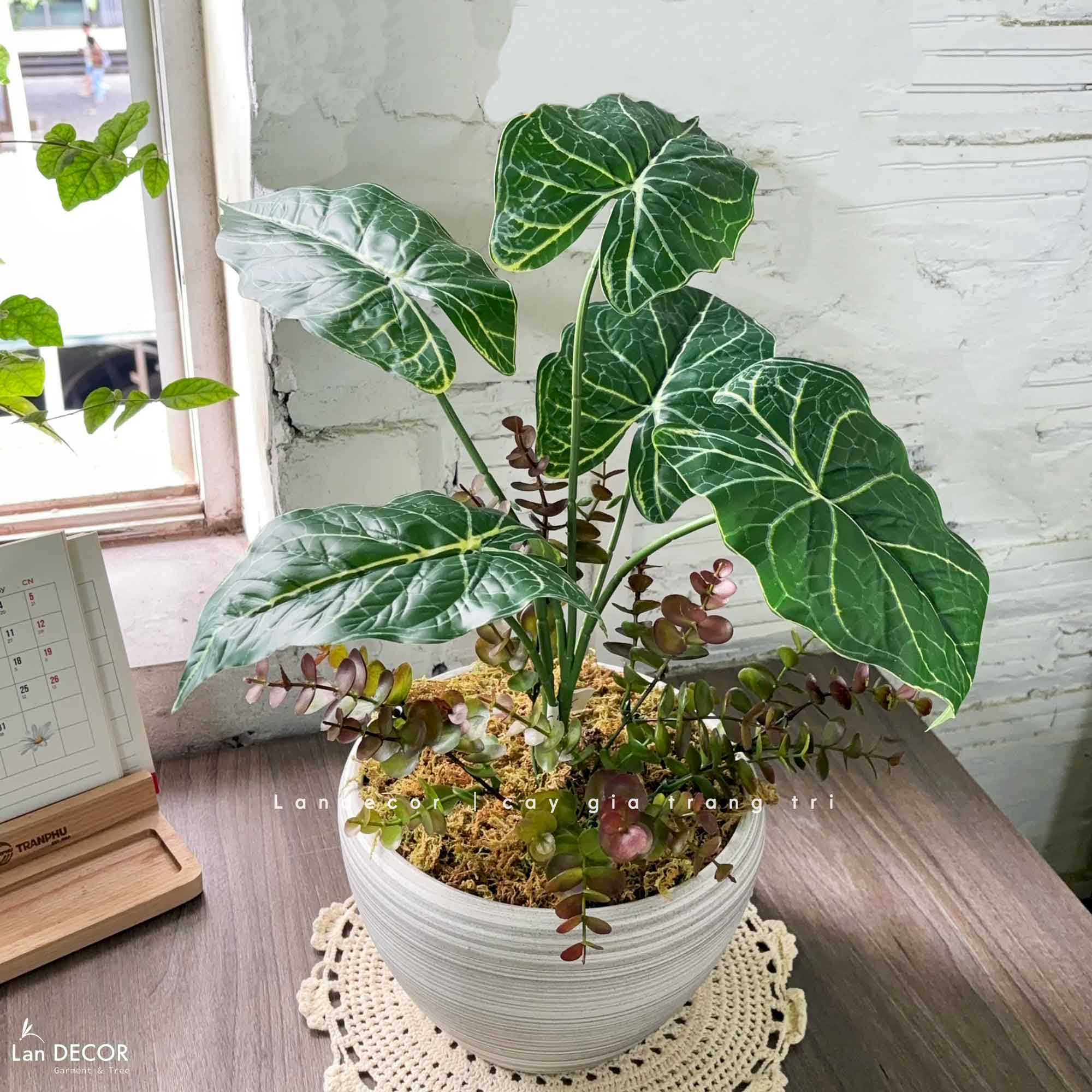 Cây Giả Để Bàn- Chậu Lá Khoai Giả Decor Để Bàn Độc Đáo (50cm)- CC1465
