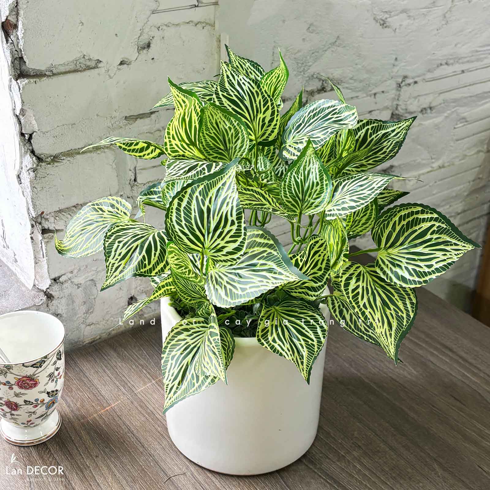 Cây Giả Decor- Chậu Cây Lá Sọc Dưa Decor Bàn Làm Việc (45cm) - CC1455