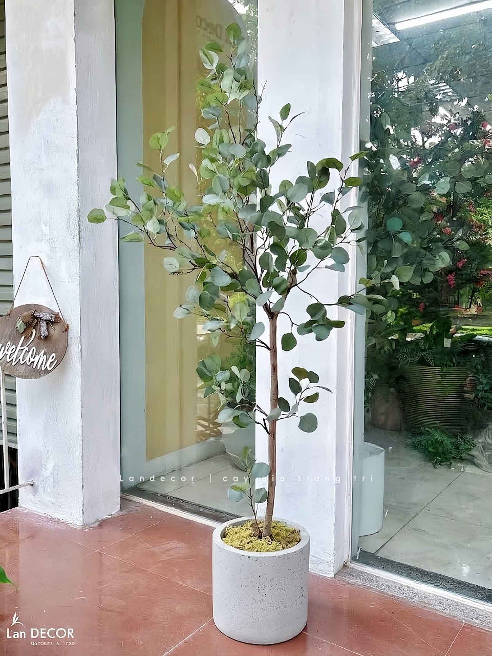 Cây Giả Decor - Cây Bạch Đàn Giả Decor Nội Thất Hiện Đại- CC1443