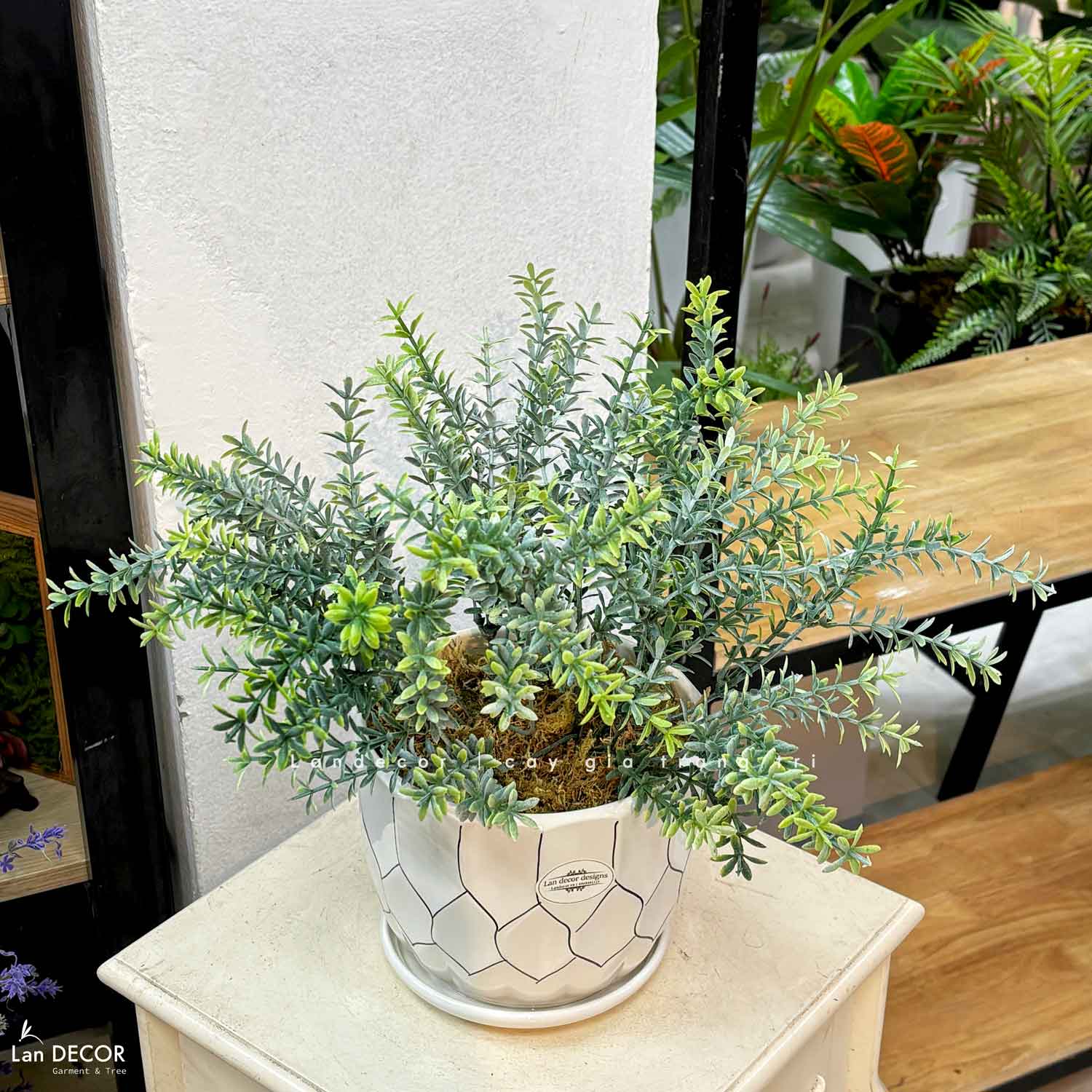 Cây Giả Để Bàn - Cây Lá Rong Giả Để Bàn Trang Trí (40cm) - CC1459