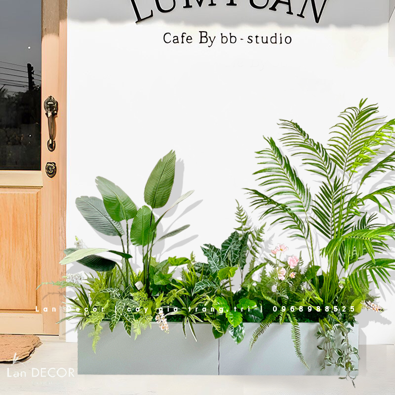 Bồn Cây Tiểu Cảnh- Bồn Cây Thiết Kế Trang Trí Nội Thất Xanh Tươi (160x30x160cm)- CC952