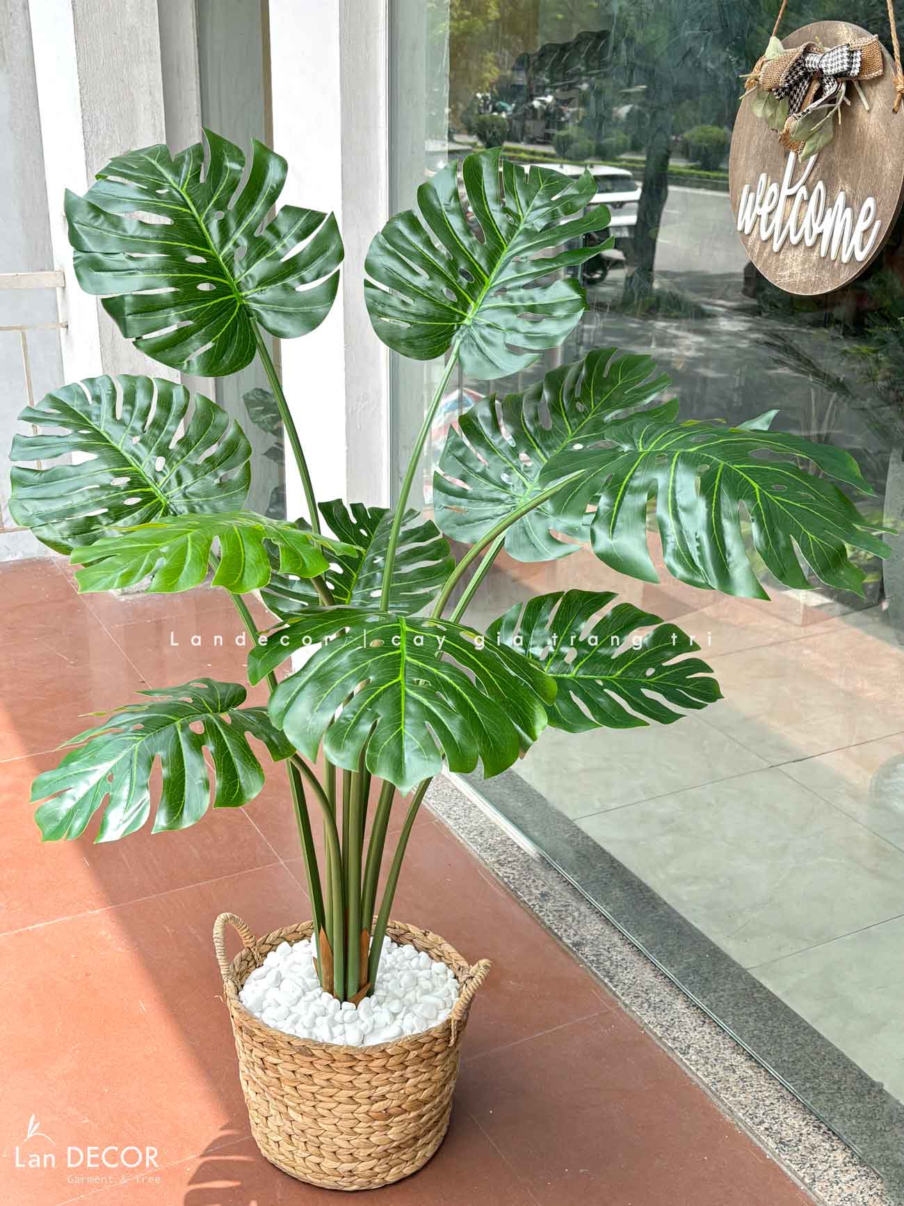 Cây lá xẻ cây monstera trang trí không gian hiện đại (120cm) - LC3024