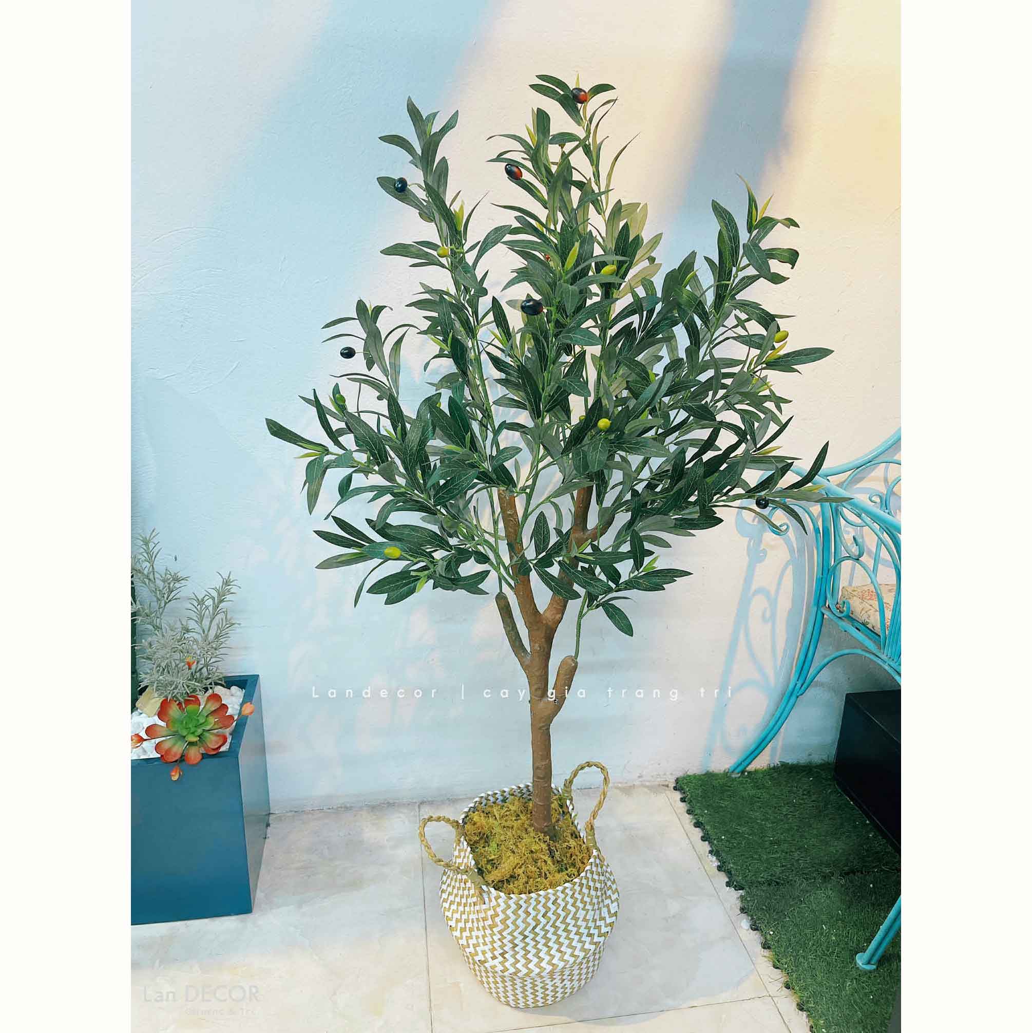 Cây Giả- Cây Olive Giả Thiết Kế Lan Decor (130cm)- CC1286