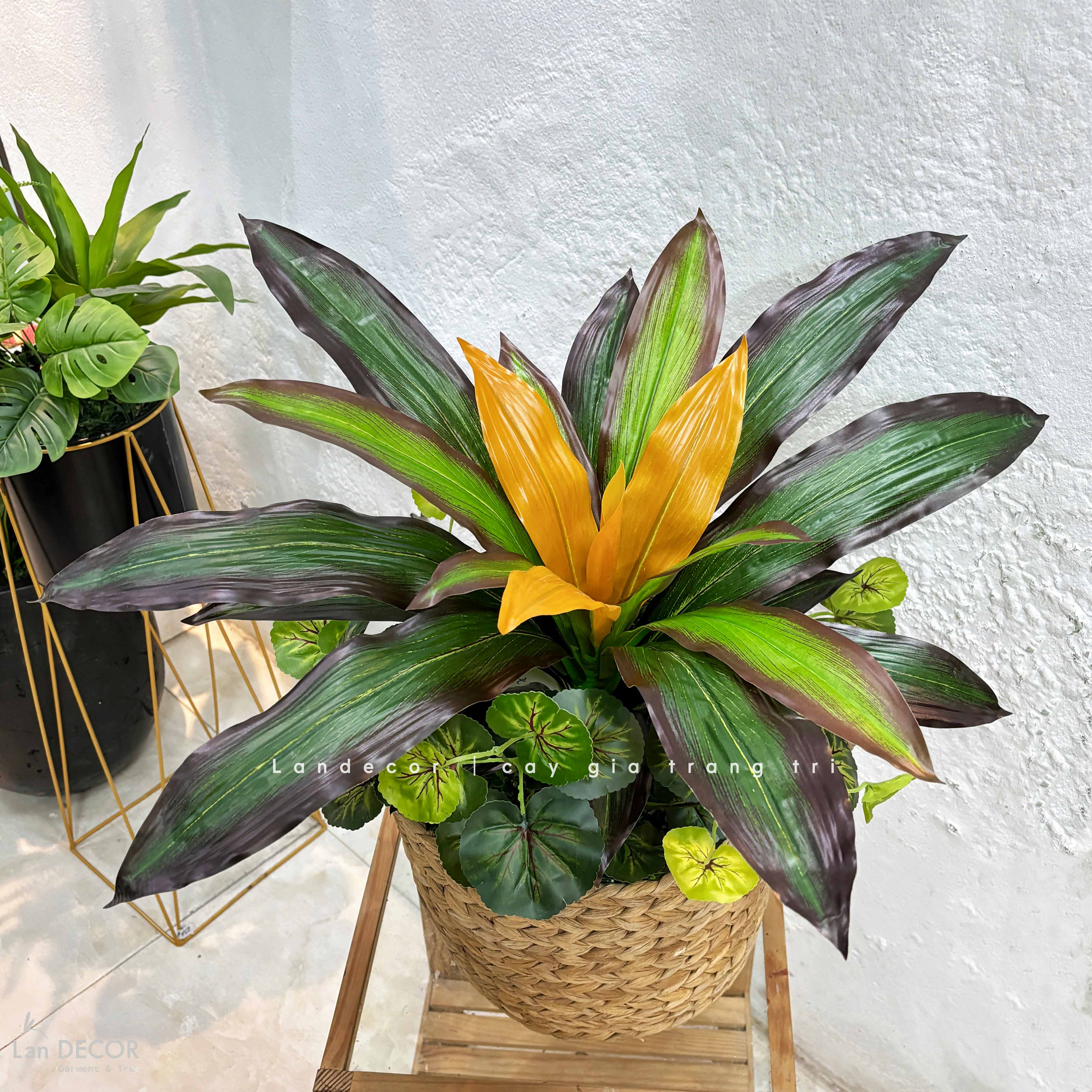 Cây Giả Trang Trí- Cây Tài Lộc Giả Để Bàn Decor Không Gian Nổi Bật (45cm)- LC3427