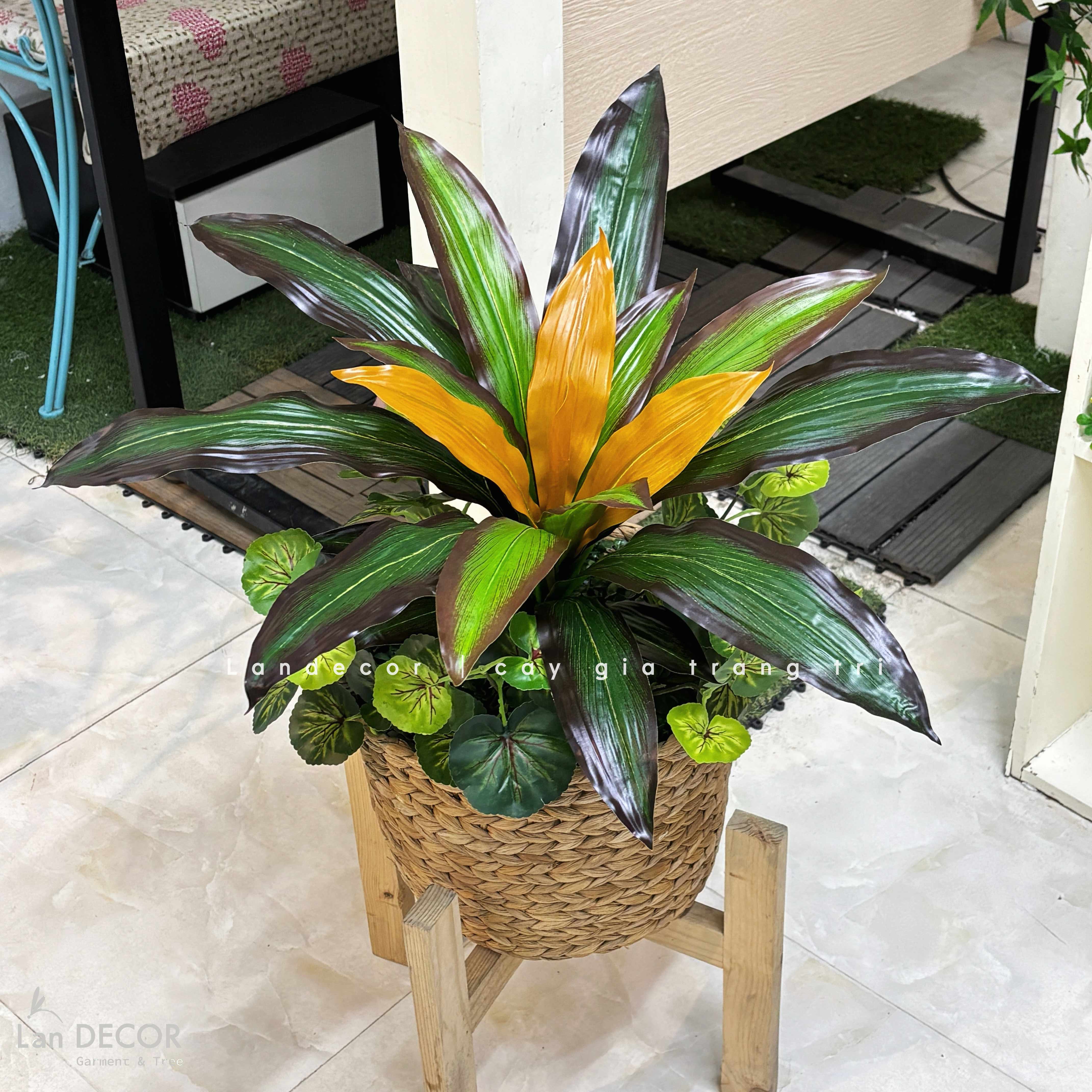 Cây Giả Trang Trí- Cây Tài Lộc Giả Để Bàn Decor Không Gian Nổi Bật (45cm)- LC3427