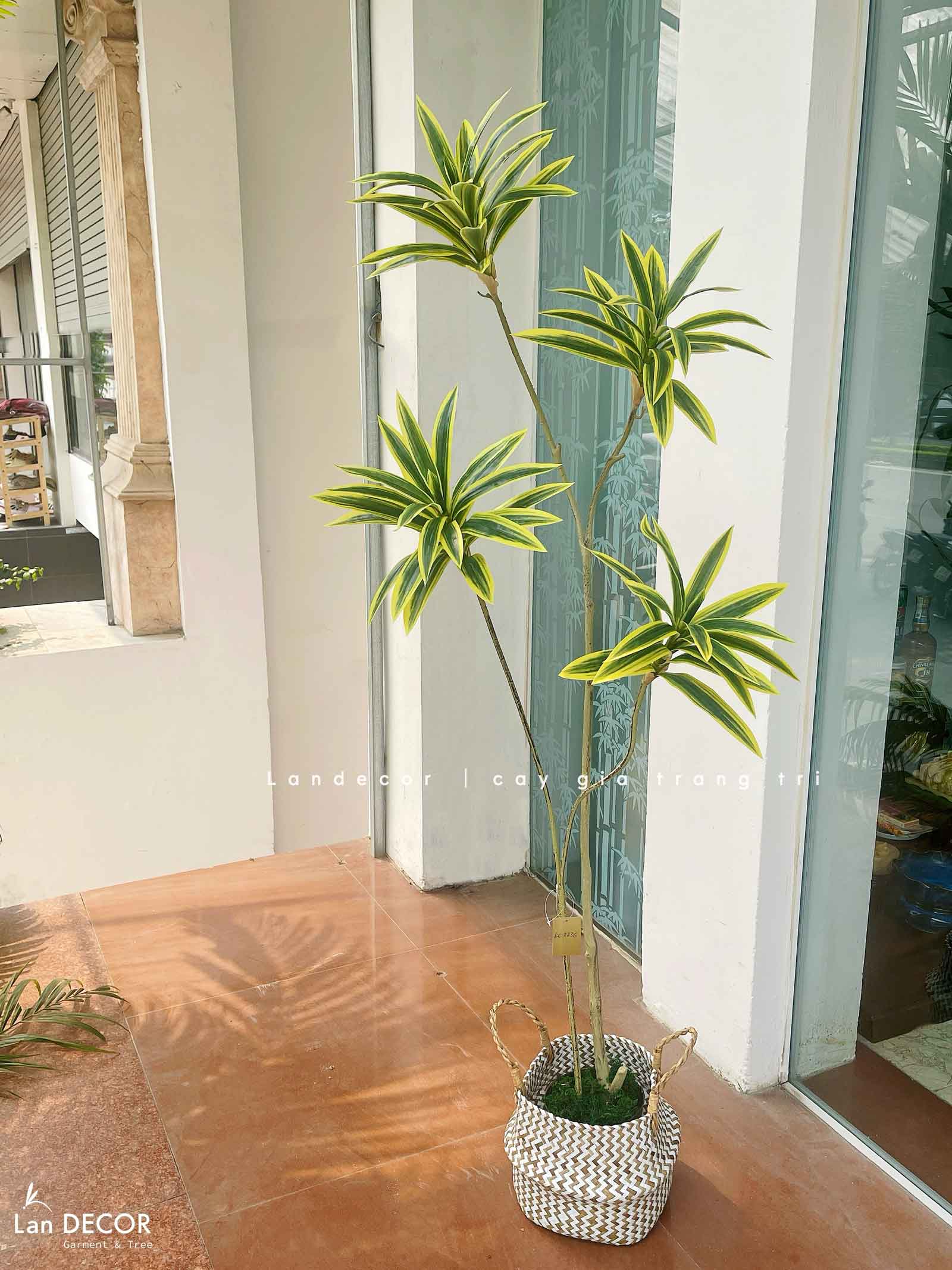 Cây Lá Giả- Cây Thiết Mộc Lan Giả 4 Nhánh Trang Trí Căn Hộ Kiểu Mới (150cm)- LC3736-vàng