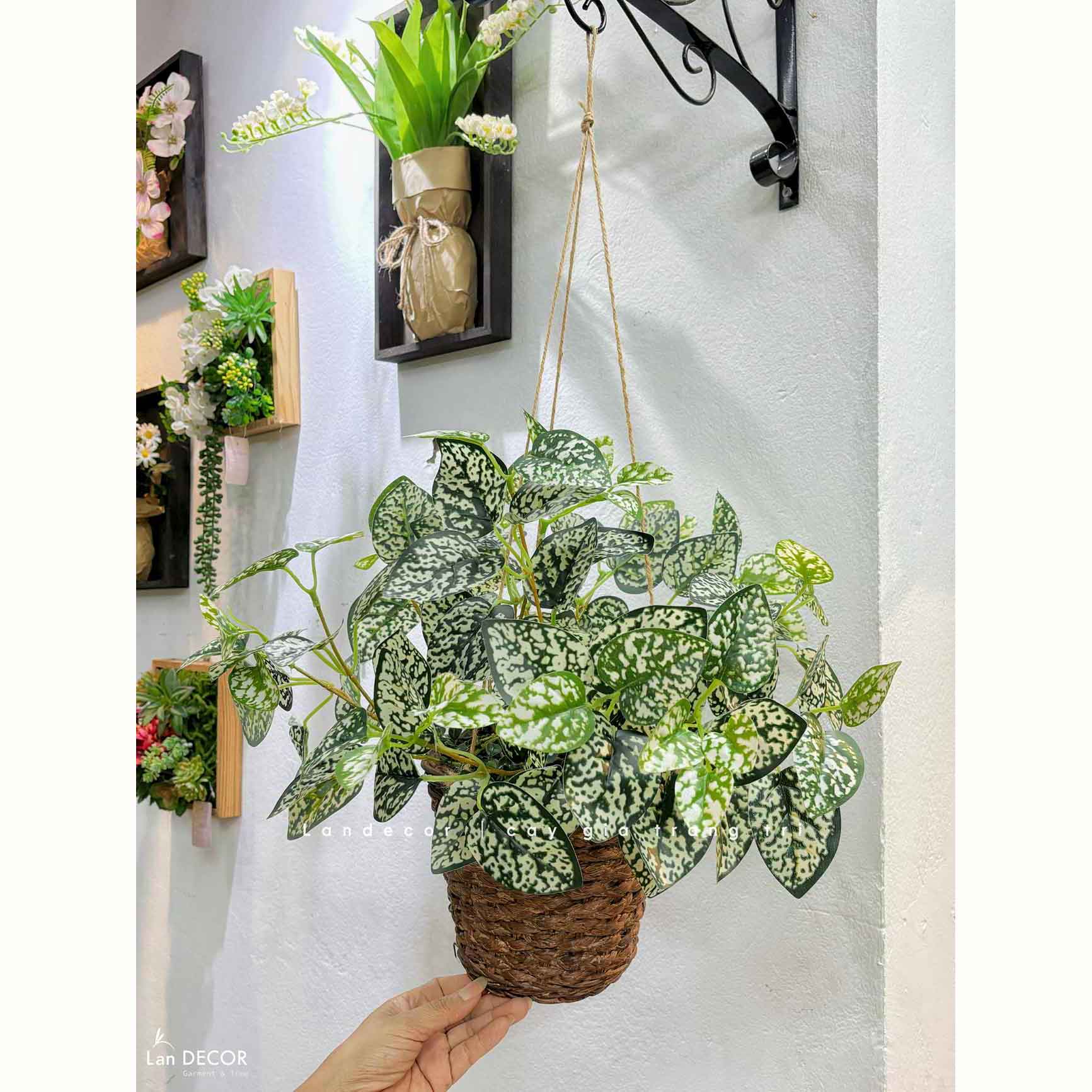 Giỏ Lá Đốm Trắng Treo Tường Decor Độc Đáo (45cm)- CC1310