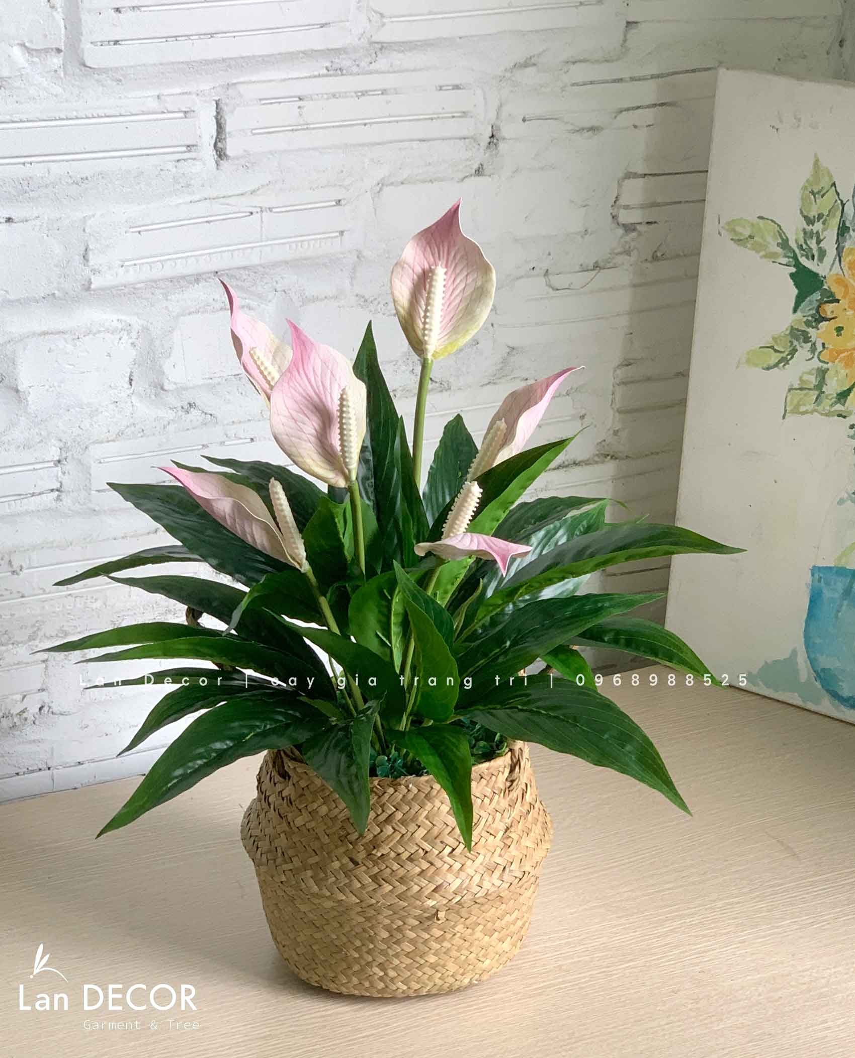 Giỏ hoa lan ý trang trí nhà đẹp- CC907