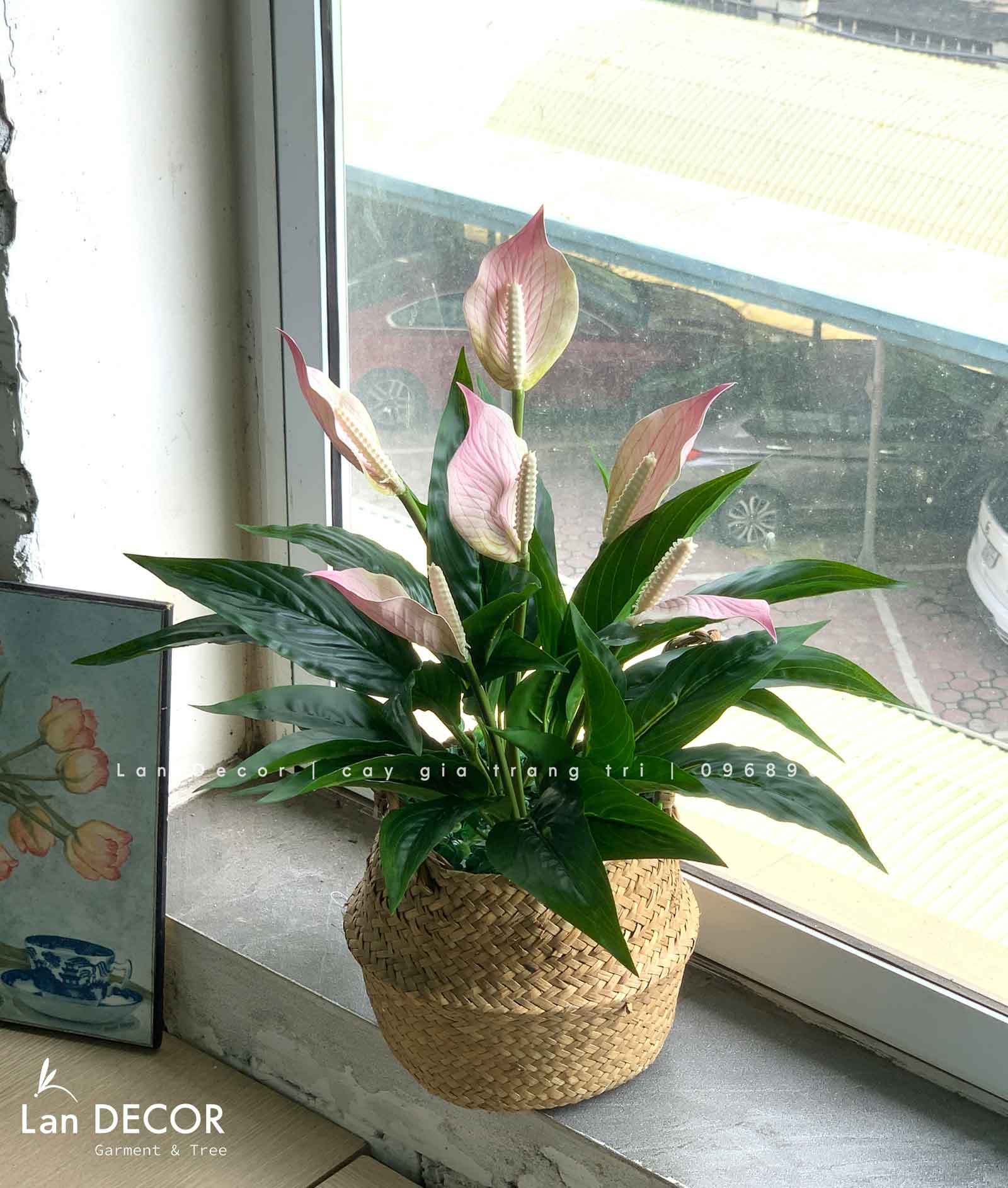 Giỏ hoa lan ý trang trí nhà đẹp- CC907