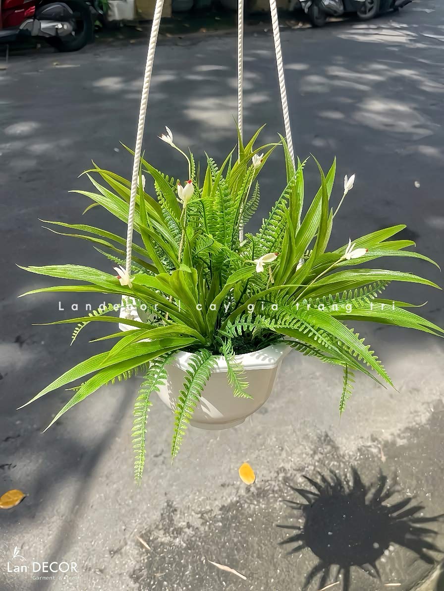 Giỏ Cây Treo Tường - Giỏ Lan Trắng Giả Trang Trí Tiểu Cảnh Xanh (45cm)- CC1313