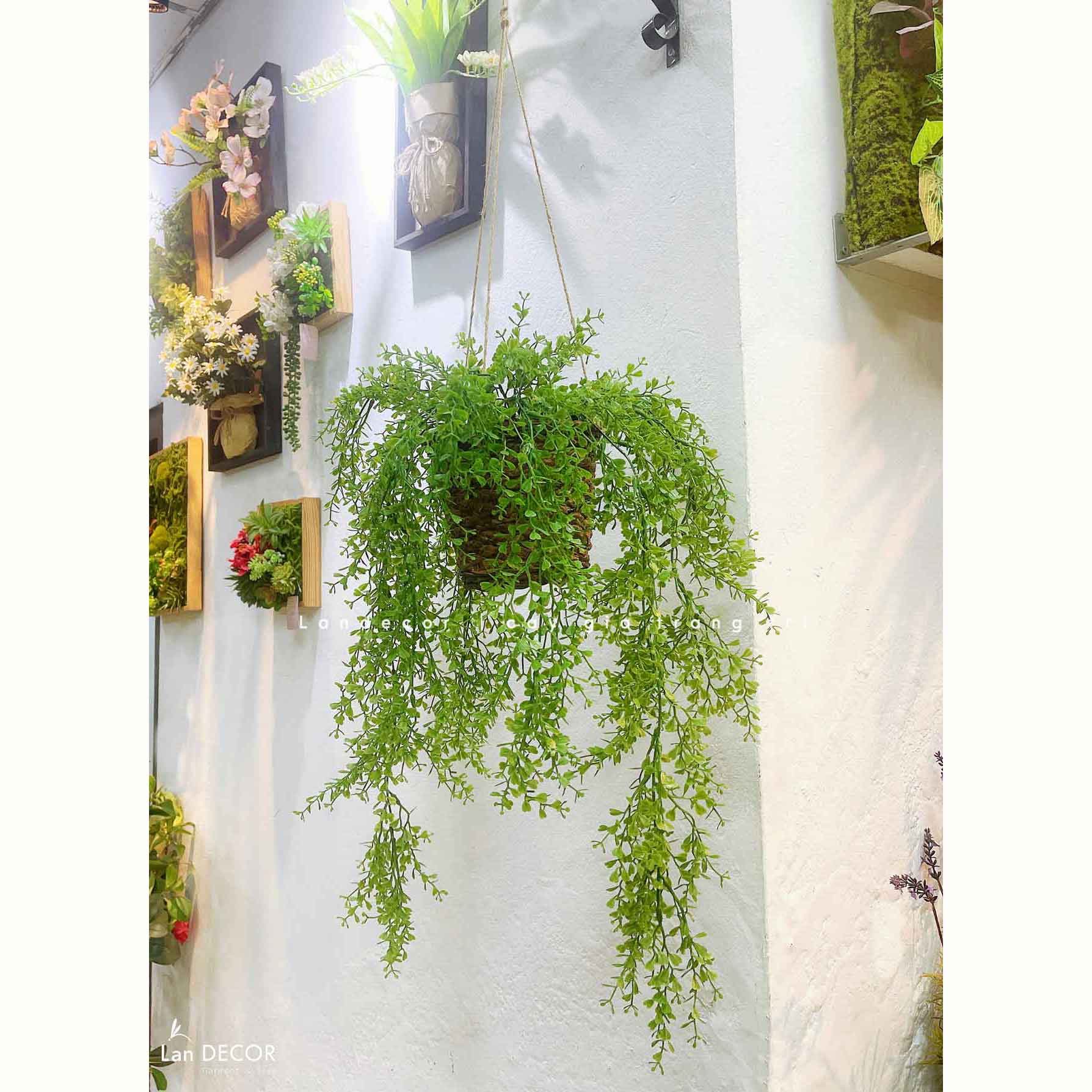 Giỏ Cây Treo Rủ- Giỏ Rủ Tim Treo Trang Trí - CC1316