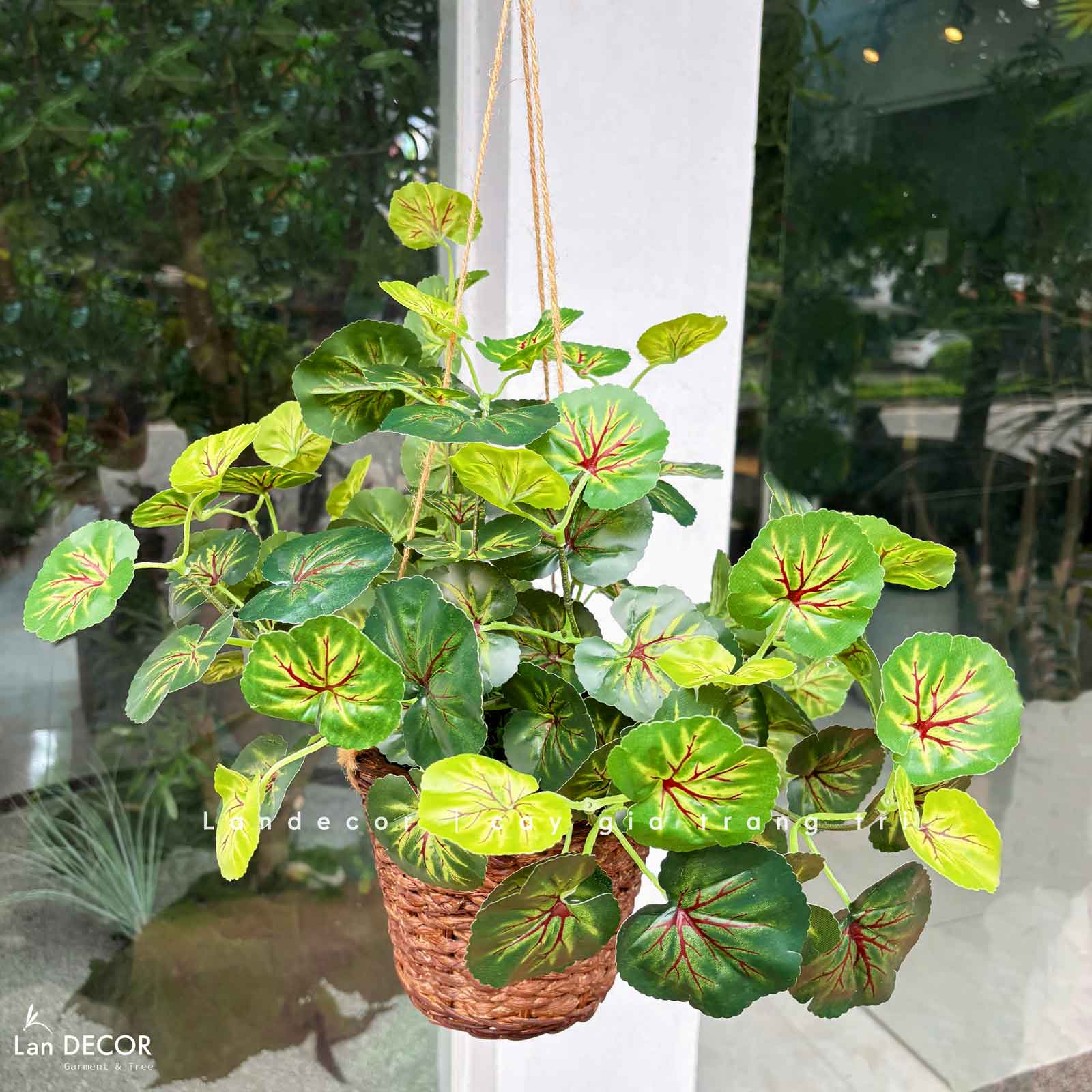 Giỏ Cây Treo Tường - Giỏ Cây Sen Cạn Trang Trí Không Gian Xanh Tươi Mới (40cm)- CC1320