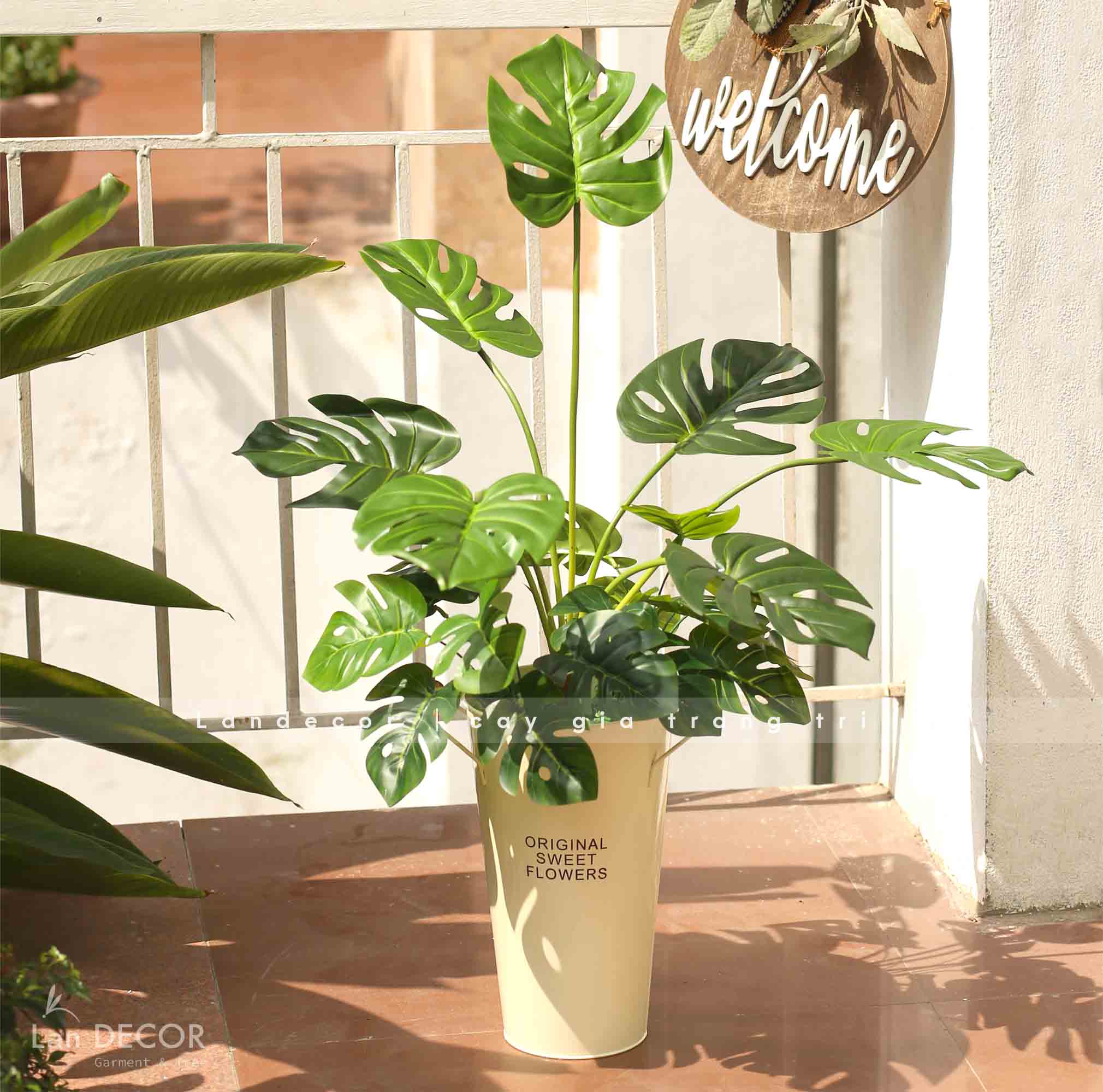 GIỎ MONSTERA DECOR ĐỘC ĐÁO (80CM)- CC758