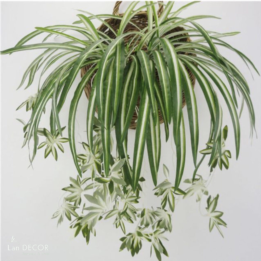 Bụi cây tóc tiên trang trí LanDecor - HC390