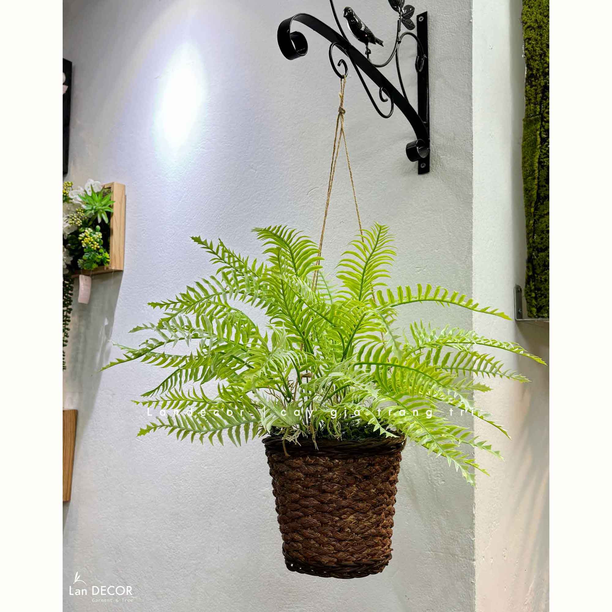 Giỏ Cây Treo Tường - Giỏ Dương Xỉ Treo Thiết Kế Không Gian Xanh (45cm)- CC1315