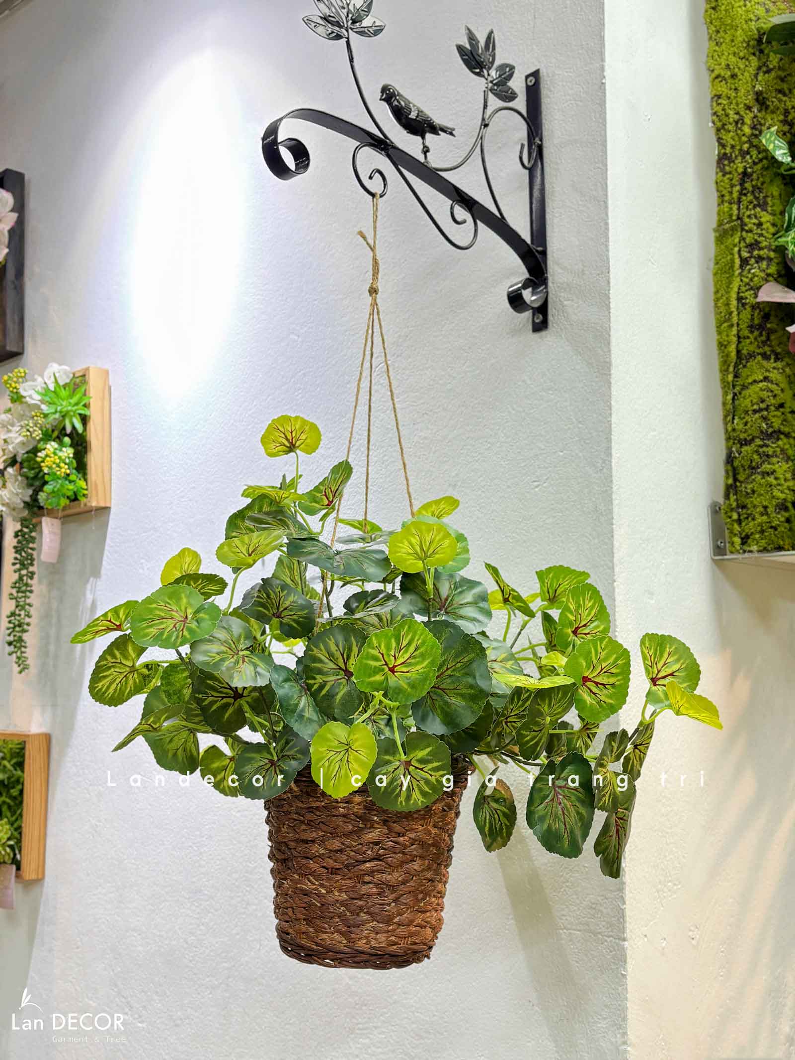 Giỏ Cây Treo Tường - Giỏ Cây Sen Cạn Trang Trí Không Gian Xanh Tươi Mới (40cm)- CC1320