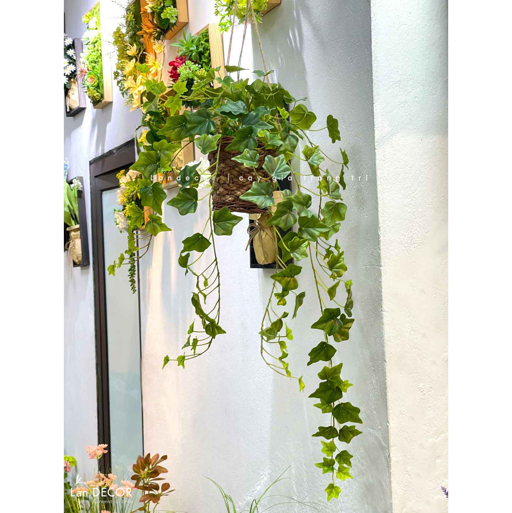 Giỏ Treo Ban Công- Giỏ Thường Xuân Decor Xanh Mát - CC1066