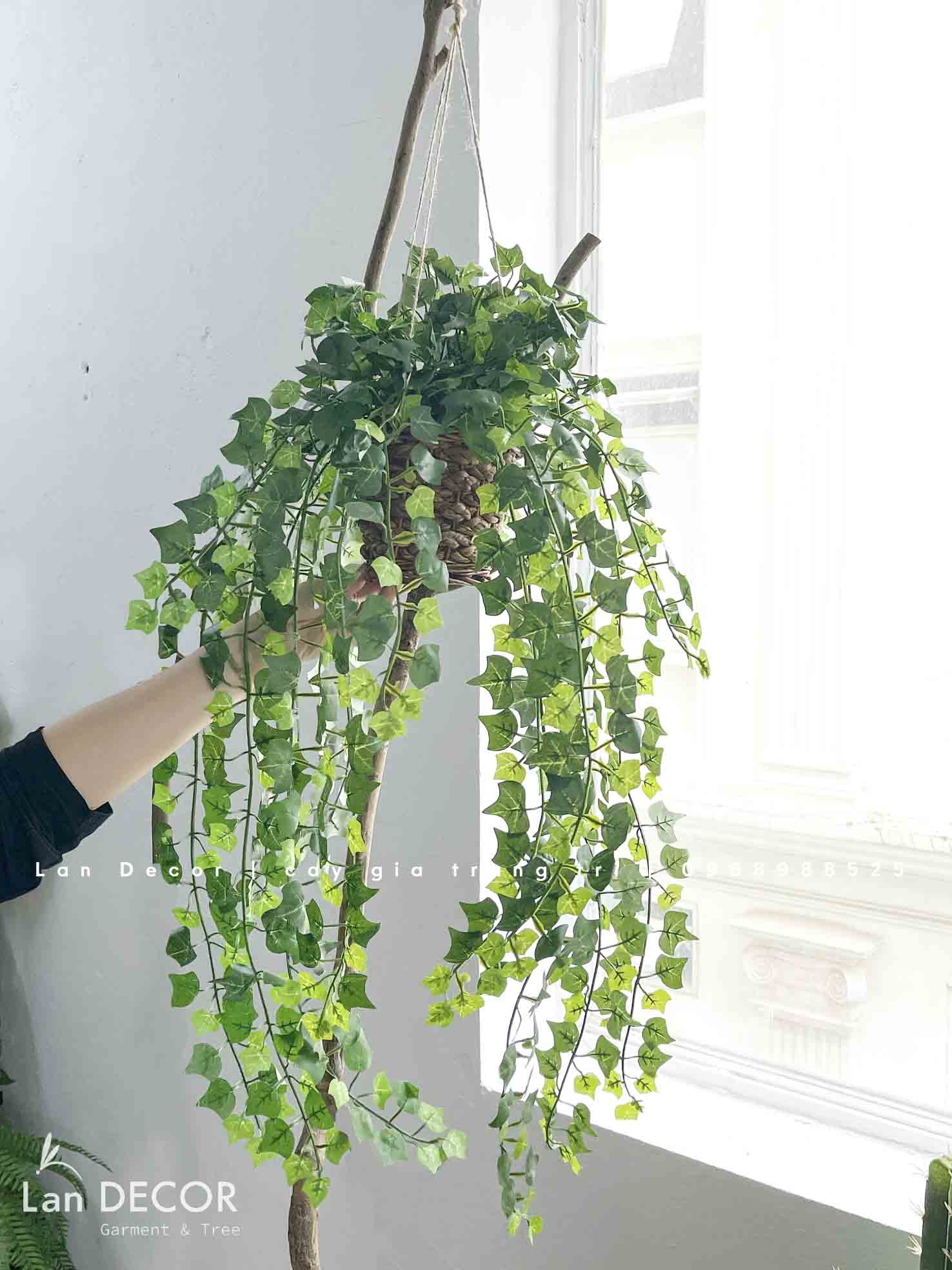 GIỎ THƯỜNG XUÂN TREO TRANG TRÍ TIỂU CẢNH- CC850