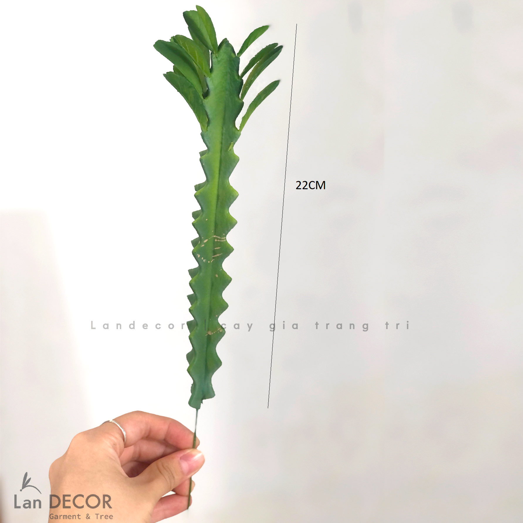 Cây xương rồng Lá trang trí Landecor - HC1048