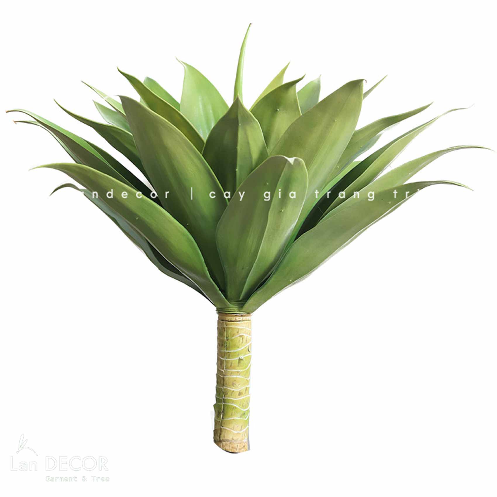 Cụm Lô Hội Trang Trí Cảnh Quan Hút Mắt (40cm)- HC1193