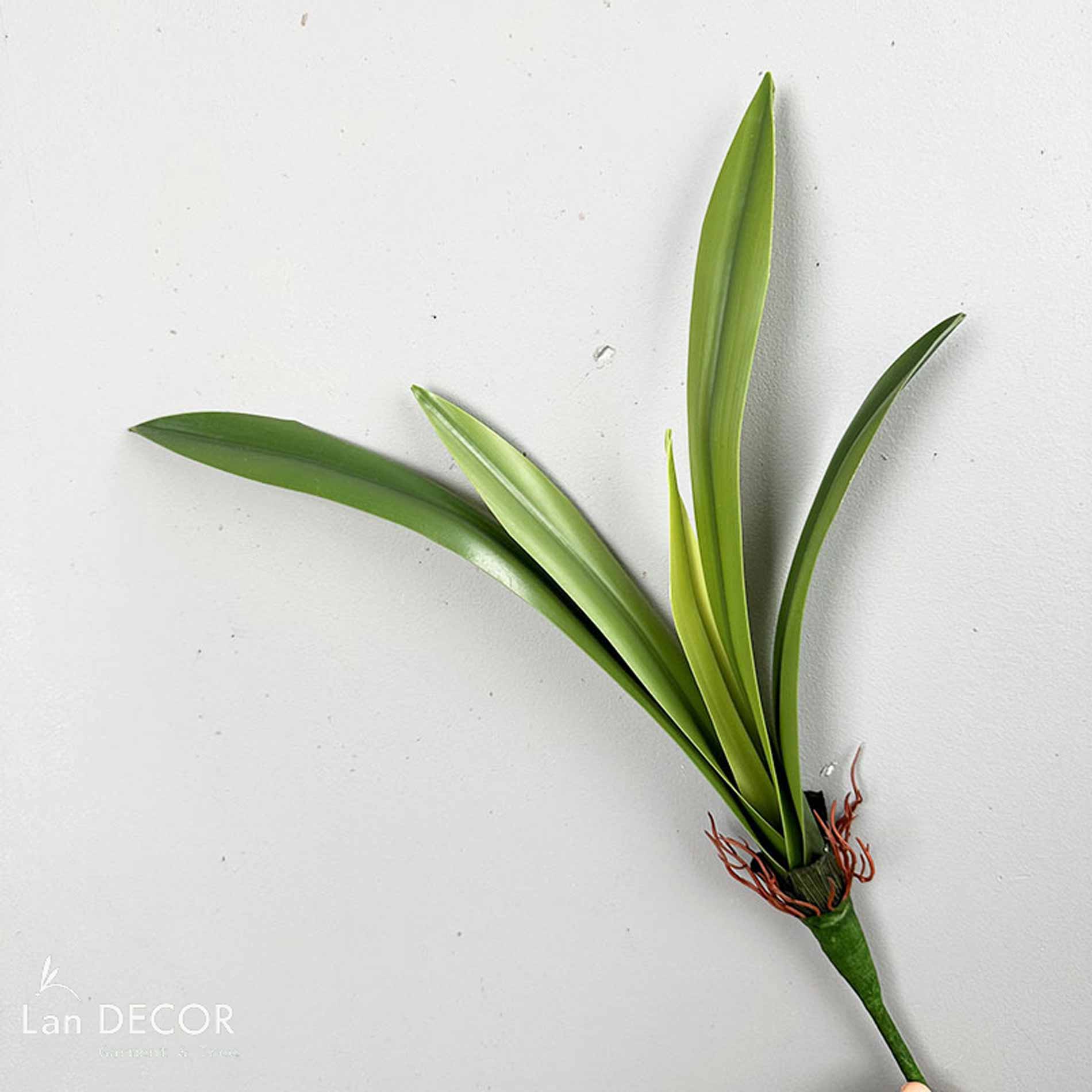 CÀNH LÁ HUỆ TÂY TRANG TRÍ CẮM HOA (35cm, 43cm, 55cm) - HC1211