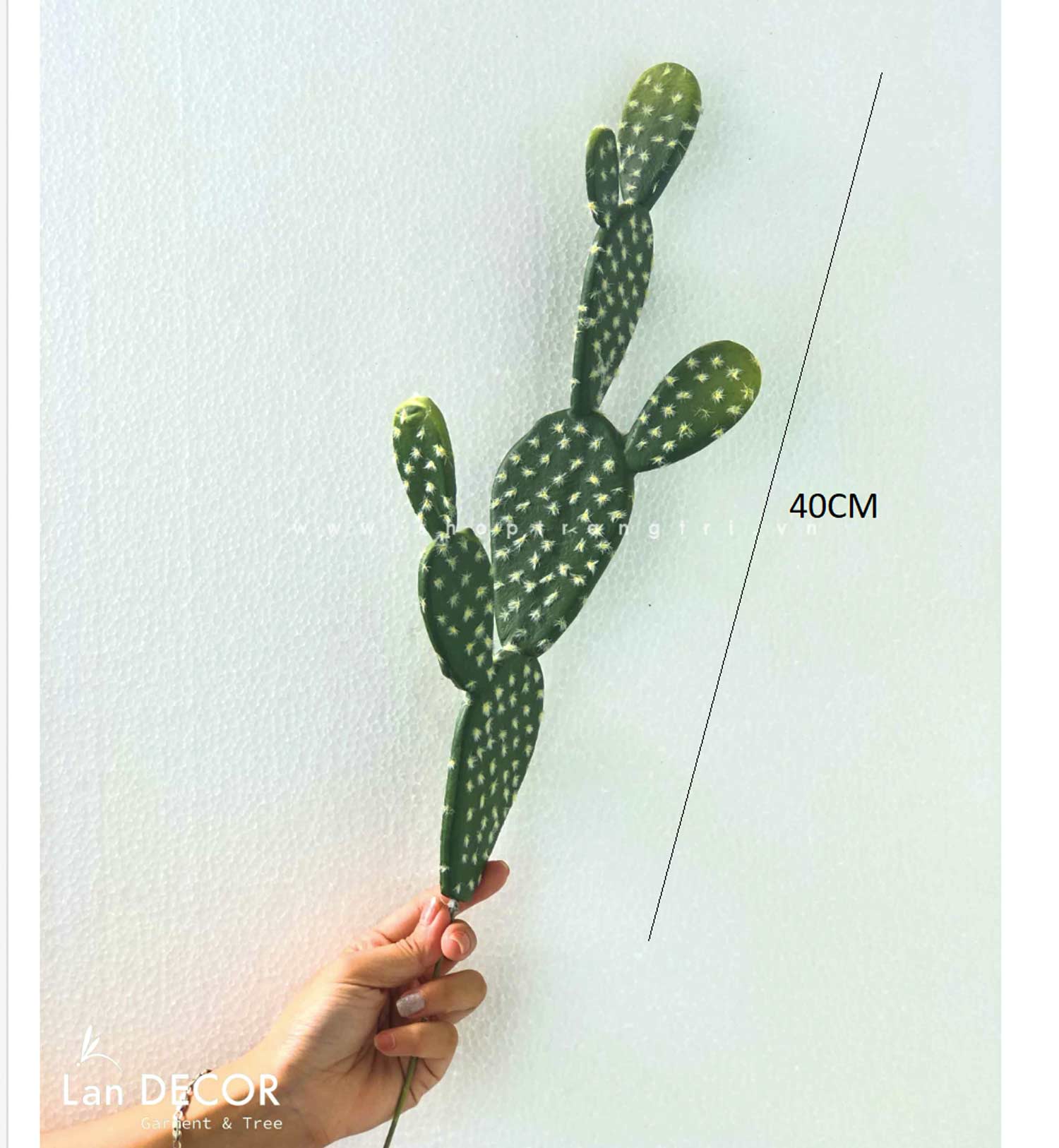 TỔNG HỢP CÁC MẪU XƯƠNG RỒNG DECOR QUÁN CAFE, VĂN PHÒNG