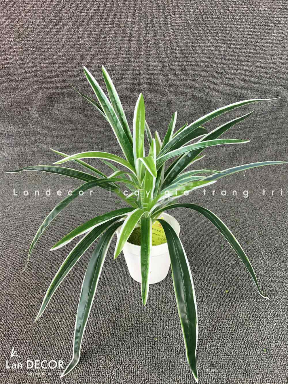 Cành Lá Giả Decor, Cành Tóc Tiên Trang Trí Nội Thất Độc Đáo (25cm) - HC553