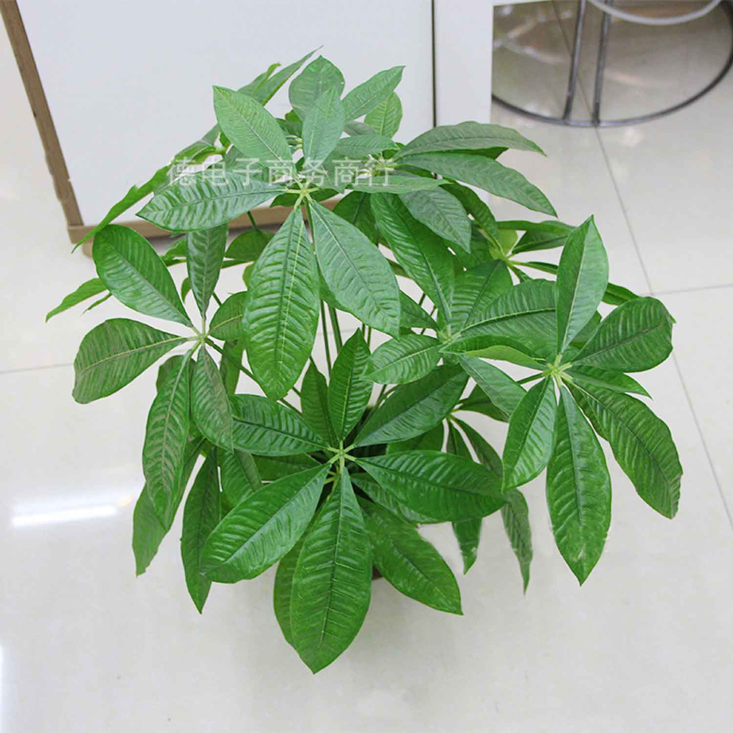 Cành Lộc Vừng Trang Trí Xanh Mát- HC1198