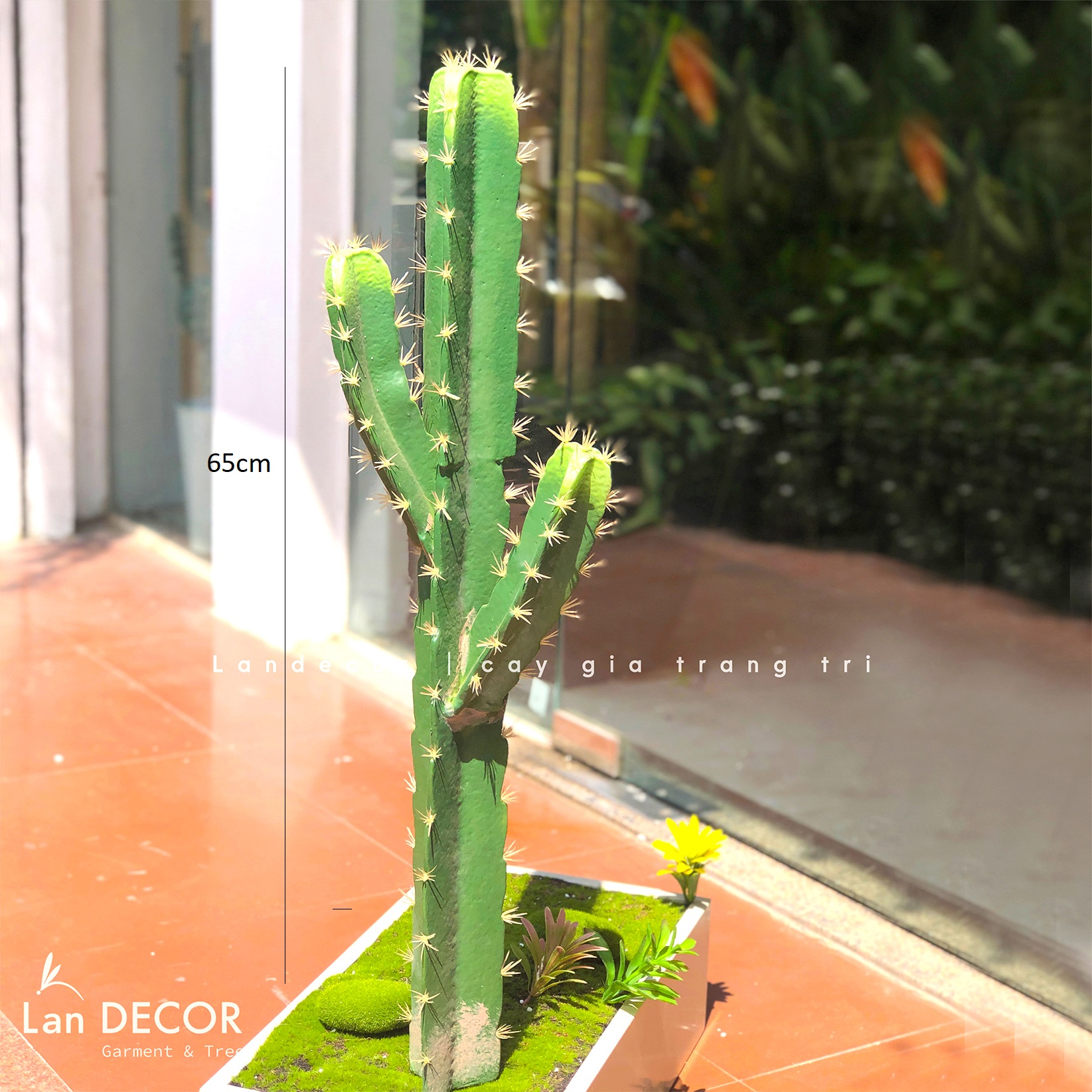 TỔNG HỢP CÁC MẪU XƯƠNG RỒNG DECOR QUÁN CAFE, VĂN PHÒNG