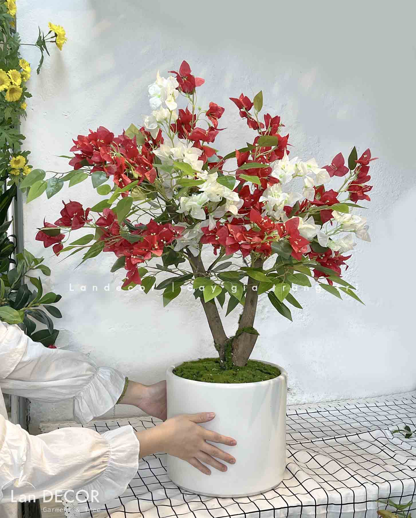 CHẬU CÂY HOA GIẤY TRANG TRÍ BỀN ĐẸP (90CM)- CC772