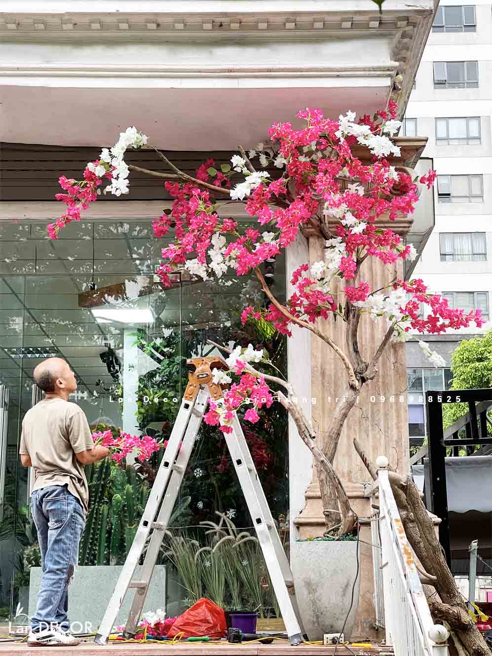 chau-hoa-giay