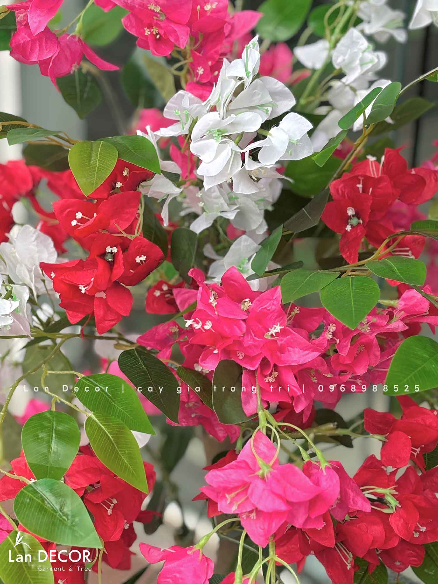 CHẬU CÂY HOA GIẤY TRANG TRÍ BỀN ĐẸP (90CM)- CC772