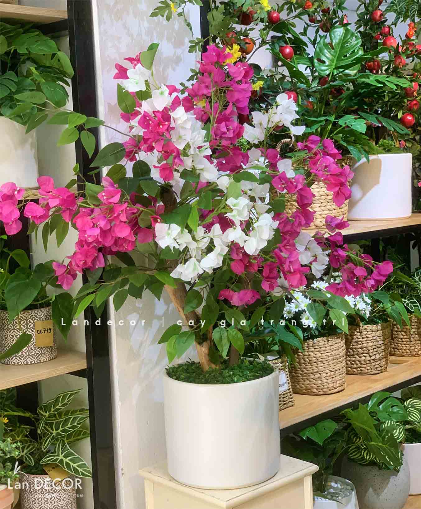 CHẬU CÂY HOA GIẤY TRANG TRÍ BỀN ĐẸP (90CM)- CC772