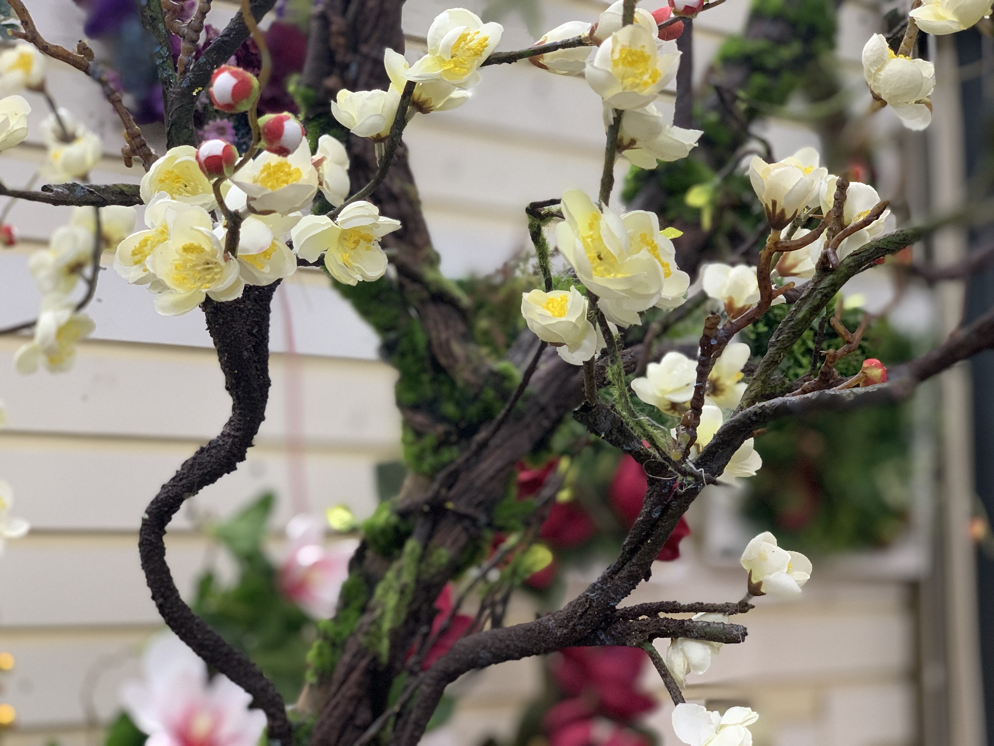 Cây mận trắng trang trí nhà đẹp LanDecor cao 2,4m - CC564