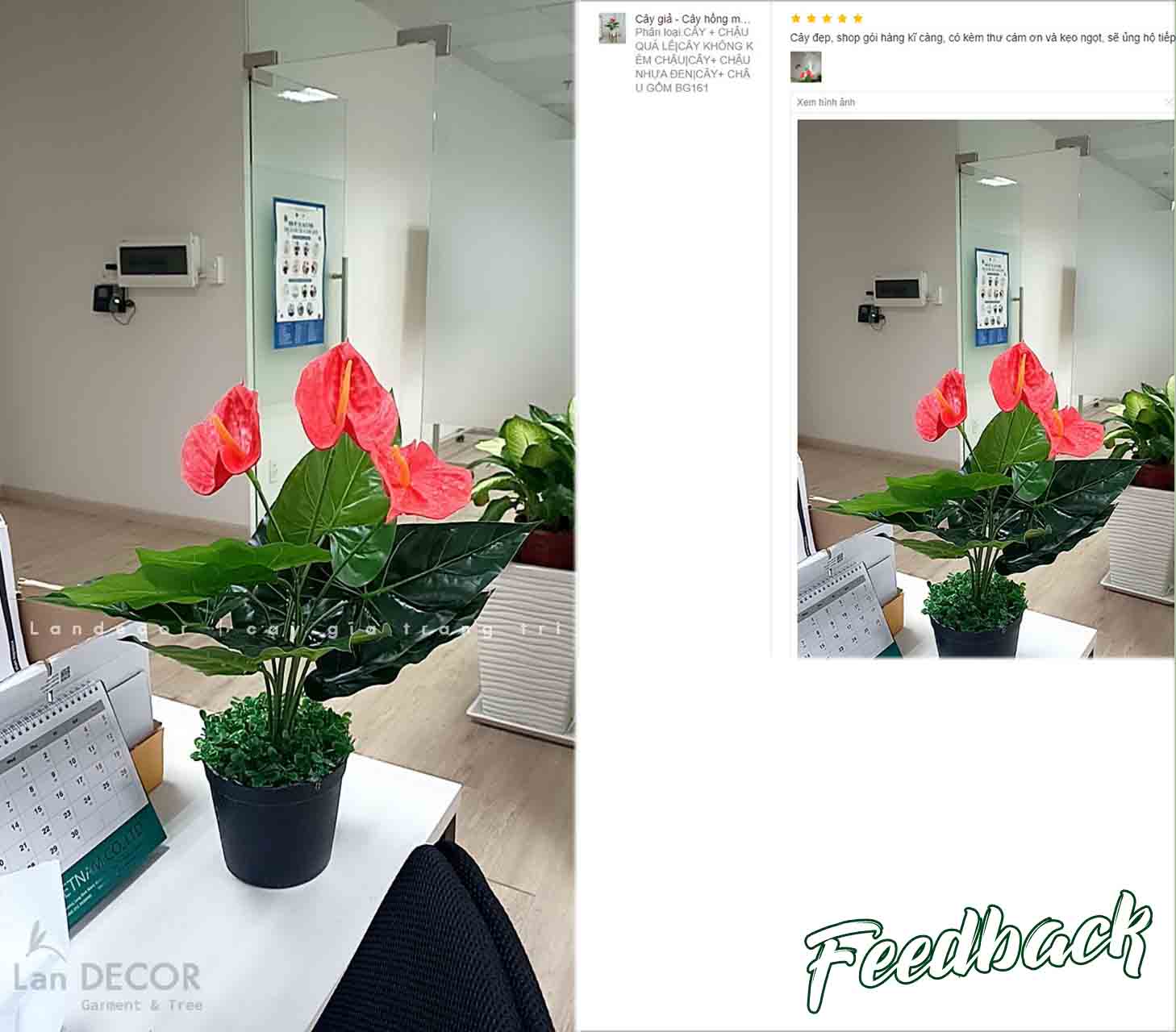Cây hồng môn cây giả trang trí hiện đại Lan Decor (45cm) - LC2135