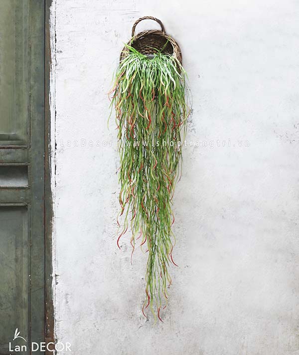 Giỏ cành rủ đuôi phượng treo tường trang trí Lan Decor - CC294