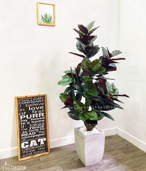 Cây Bàng Singapore lá đỏ thiết kế phong cách hiện đại Lan Decor (145cm) - CC321-1