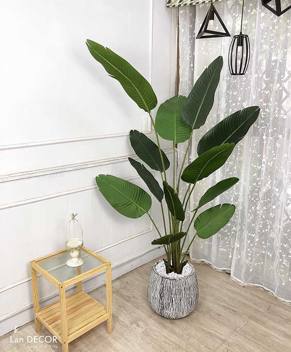 Cây chuối rẻ quạt đẹp hiện đại trang trí 1m8 - LC3019 (Gồm 12 lá)