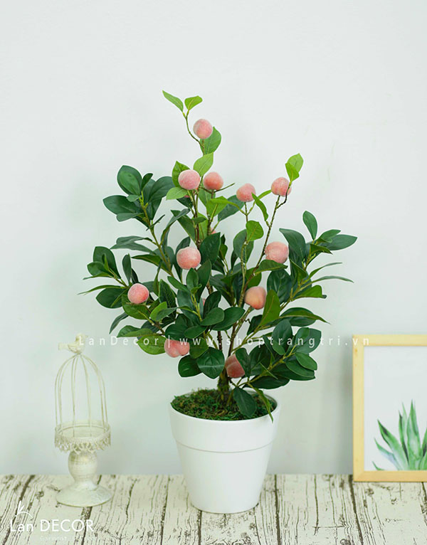 CHẬU CÂY ĐÀO ĐỂ BÀN TRANG TRÍ NHÀ ĐẸP LANDECOR (80CM)